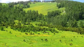 热血江湖养成秘籍：告别迷茫，打造独一无二的成长路线！