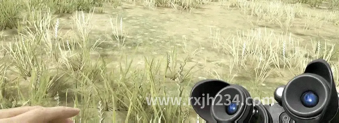 热血江湖私服开服表